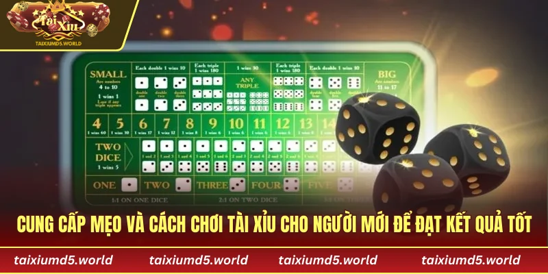 Cung cấp mẹo và cách chơi tài xỉu cho người mới để đạt kết quả tốt