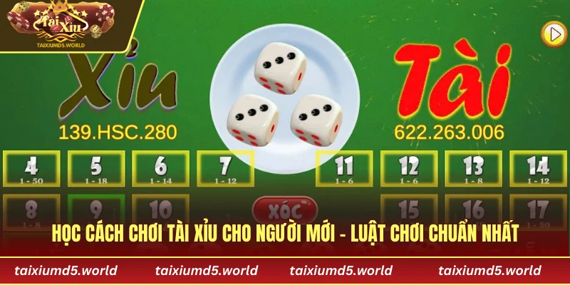 Học cách chơi tài xỉu cho người mới – Luật chơi chuẩn nhất