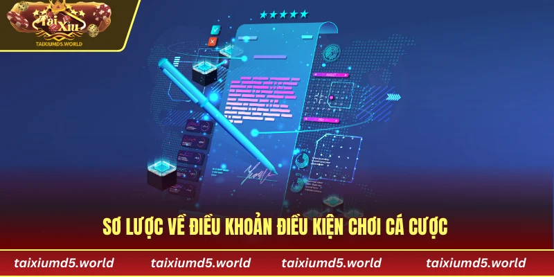 Sơ lược về điều khoản điều kiện chơi cá cược