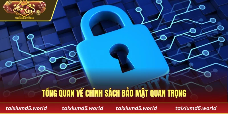 Tổng quan về chính sách bảo mật quan trọng